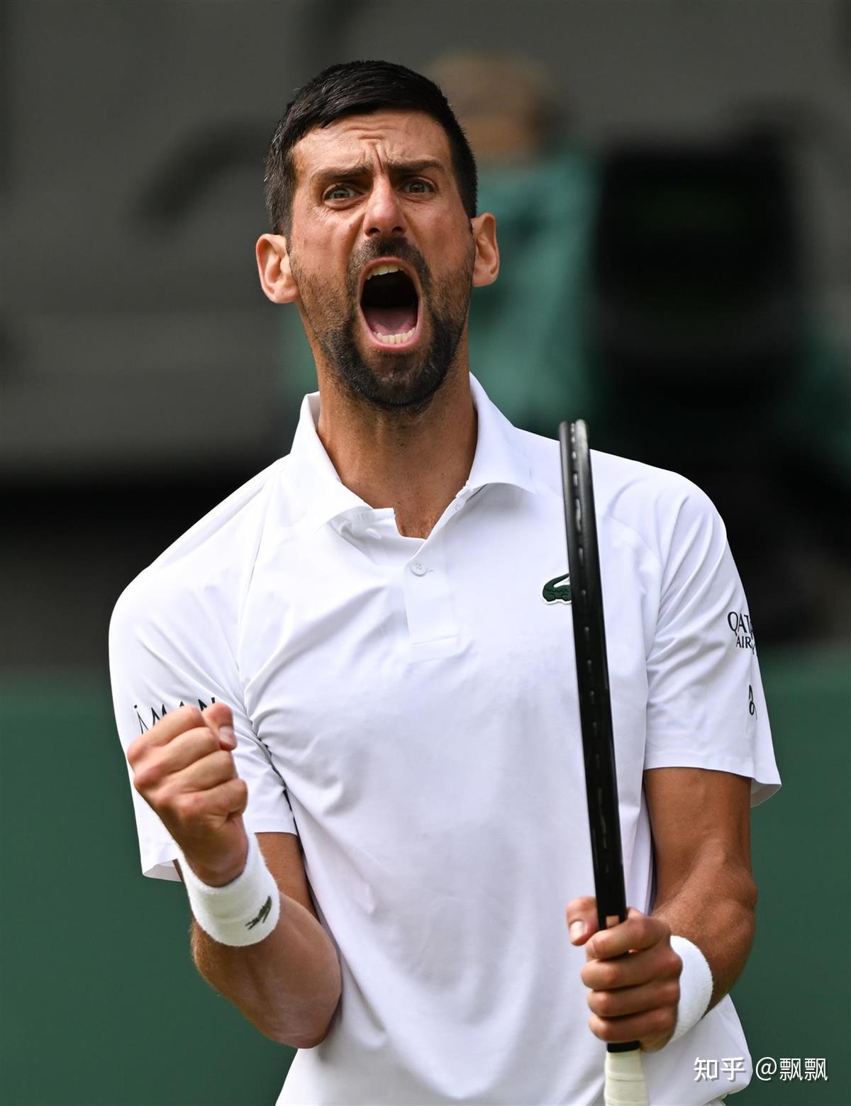 包含法国网球队绝杀日本网球队,德约科维奇打破历史纪录的词条 包含法国网球队绝杀日本网球队,德约科维奇打破历史纪录的词条