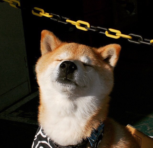 孤舟破浪,当76人阵线倾颓,是詹姆斯定义了巨星的另一种可能